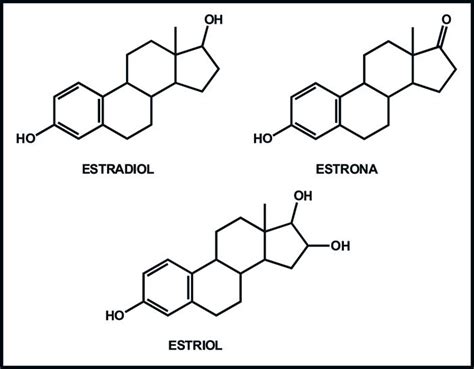Esquema de las estructuras químicas de los principales estrógenos (estradiol, estrona, estriol)