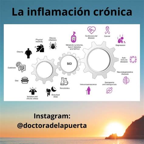 Infografía sobre la relación entre inflamación crónica, grasa abdominal y salud metabólica