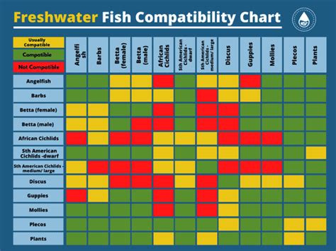 Esquema de compatibilidad de peces en acuarios