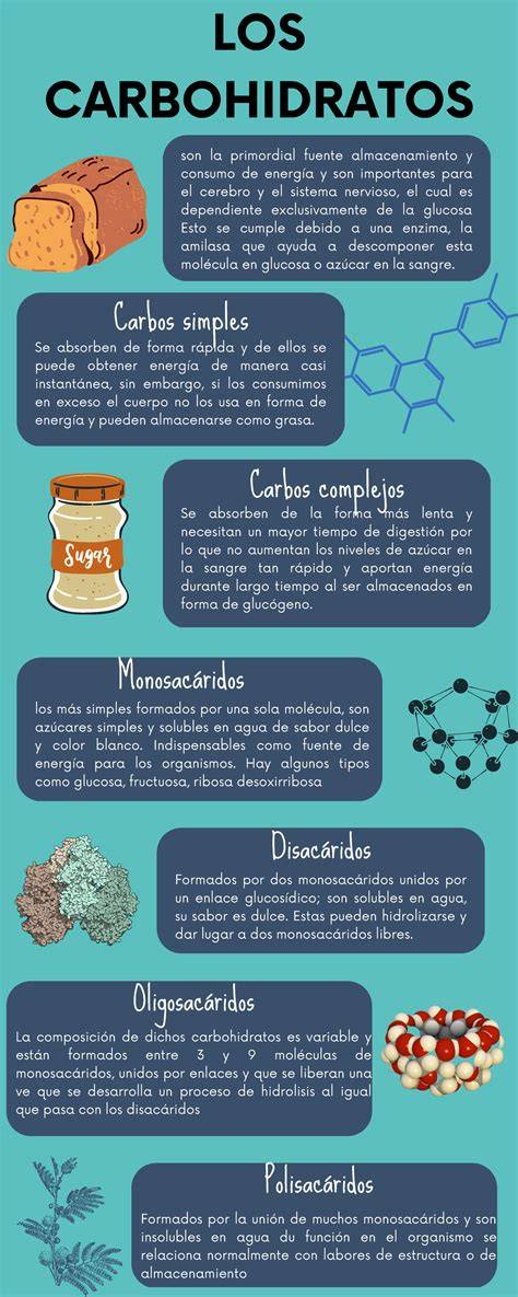 Infografía sobre los tipos de carbohidratos en la leche de fórmula