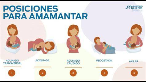 Esquema de las diferentes posiciones para amamantar gemelos