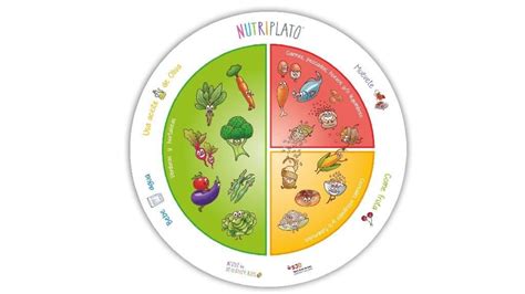 Esquema visual del Nutriplato, mostrando proporciones de diferentes grupos de alimentos para una dieta equilibrada