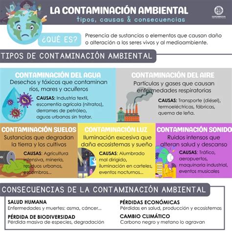 Infografía sobre los diversos tipos de accesorios compatibles con el chasis de las sillas de paseo Chicco