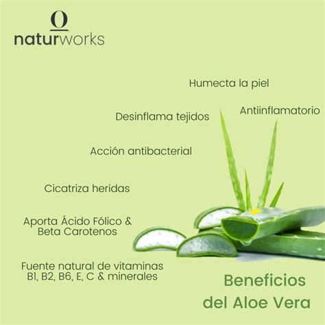 Infografía sobre los ingredientes naturales de Cicatridina (Ácido hialurónico, Caléndula, Aloe vera) y su acción reparadora en la mucosa.