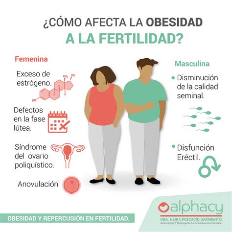 Infografía: Factores de riesgo para la fertilidad masculina (tabaco, calor, estrés, obesidad)