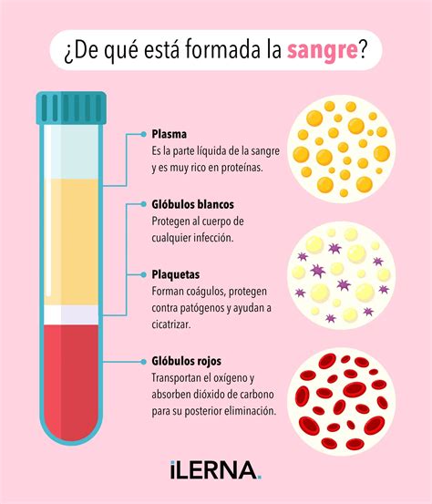 Esquema detallado de los componentes de la fórmula Pronutra: DHA, AA, GOS/FOS y nucleótidos.