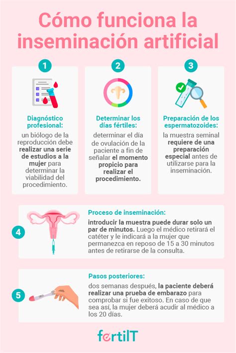 Esquema comparativo entre el proceso de inseminación artificial en clínica frente a la inseminación casera en el hogar.