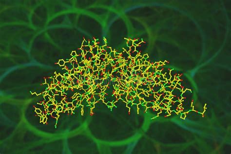 Esquema molecular del Antígeno Carcinoembrionario (CEA) y su estructura
