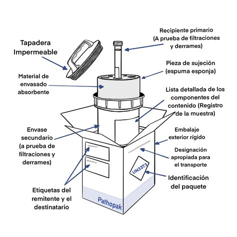 Esquema de las capas del sistema de embalaje triple para muestras biológicas