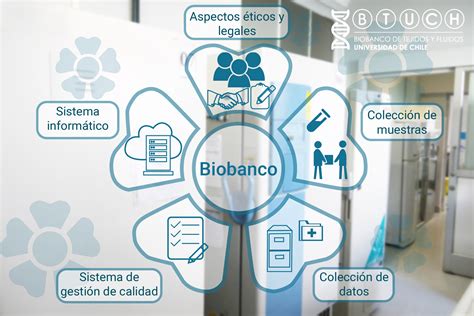 Ilustración de un biobanco para almacenamiento de muestras