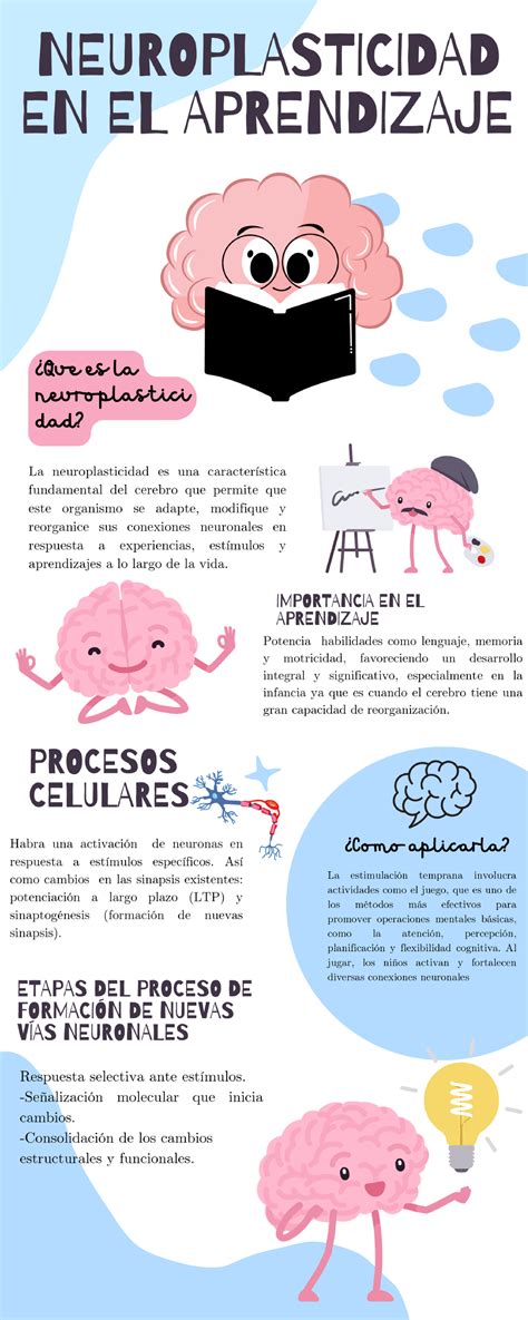 Ilustración de un cerebro infantil mostrando neuroplasticidad y aprendizaje continuo