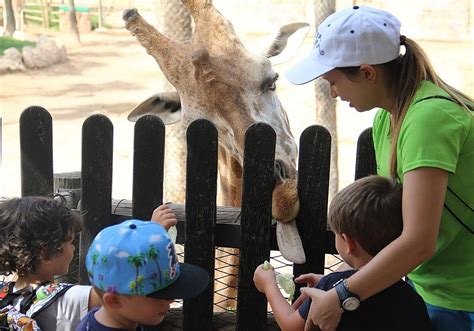 Niños observando animales en el parque Terra Natura.