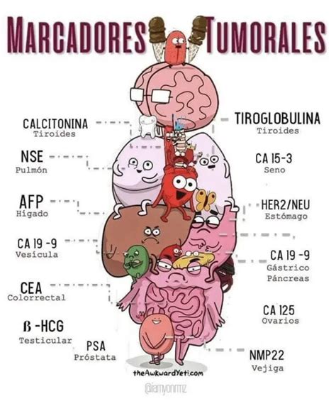 Infografía: Cánceres donde la AFP se usa como marcador tumoral.