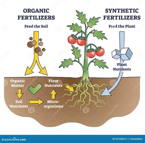 Esquema comparativo del origen y composición de fertilizantes orgánicos y sintéticos