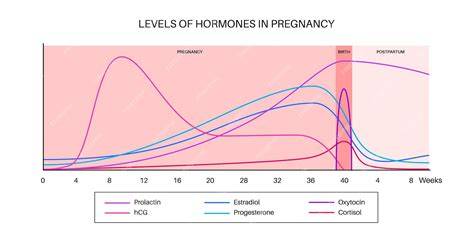 Diagrama de los niveles hormonales de prolactina durante el día y la noche