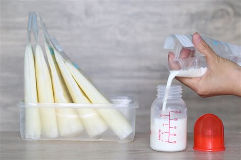 Foto de un sacaleches y recipientes para almacenar leche
