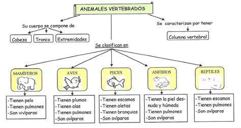 Esquema comparativo de las extremidades anteriores de diferentes vertebrados (humano, perro, cerdo, vaca, tapir, caballo, ave, ballena) mostrando la estructura ósea similar a pesar de las diferencias externas y funcionales.