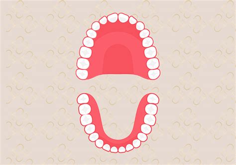 Esquema que muestra la diferencia entre una arcada dental normal y una deformada por succión prolongada (mordida abierta y cruzada)