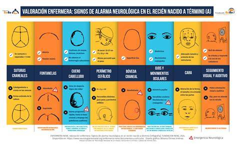 Infografía: Signos de alarma generales en neonatos con iconos descriptivos