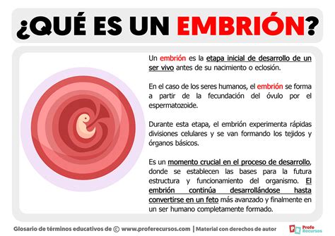 Infografía comparativa: el concepto biológico del embrión frente a las visiones utilitaristas y personalistas.