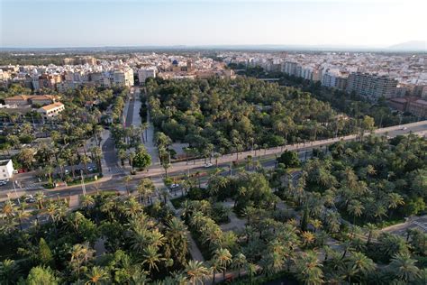 Fotografía aérea de Elche con su famoso Palmeral