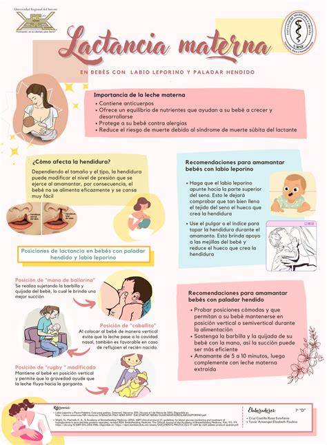 Infografía: Patrones de alimentación de bebés con leche materna