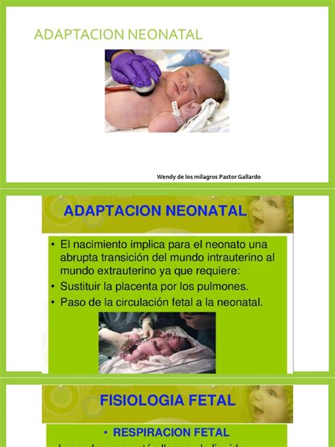 Esquema de las fases de adaptación neonatal