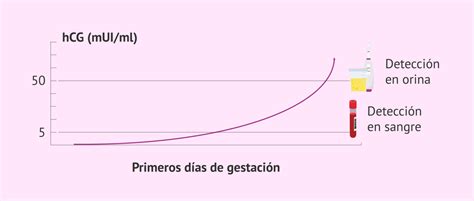 gráfico comparativo de la sensibilidad de los tests de embarazo en orina y sangre