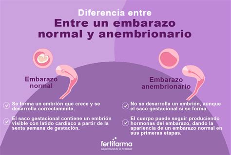 Esquema comparativo de un embarazo normal, un embarazo anembrionario y un embarazo ectópico.