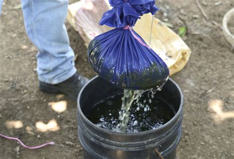 esquema de preparación de té de estiércol con bolsa de tela