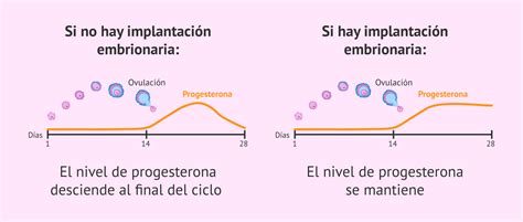 Gráfico comparativo de los niveles de progesterona necesarios para la implantación de embriones en diferentes estadios.
