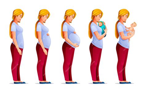 Ilustración esquemática de los principales sistemas corporales de la mujer embarazada y los cambios fisiológicos que experimentan.