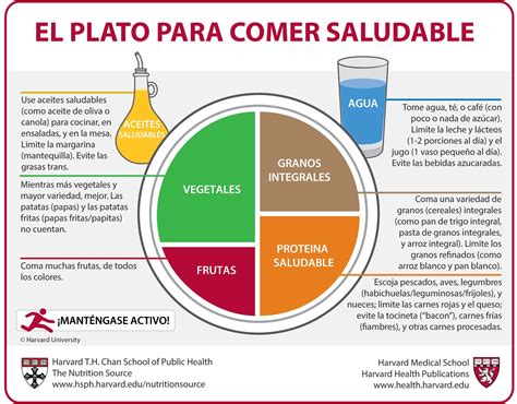 representación gráfica del Plato de Harvard