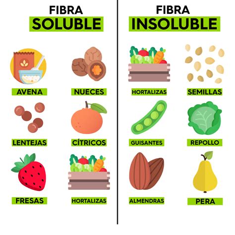 Infografía mostrando ejemplos de alimentos con fibra soluble e insoluble, como avena, legumbres, frutas y verduras.