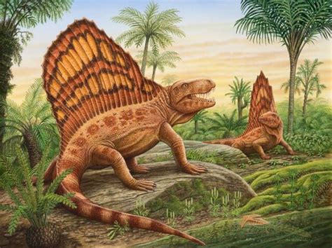 Reconstrucción de Archaeothyris o Dimetrodon grandis, ejemplos de sinápsidos primitivos