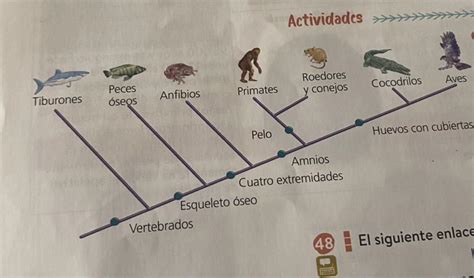 Árbol filogenético simplificado de vertebrados actuales, destacando la relación entre saurópsidos y aves