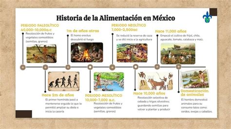 Infografía: evolución de los recipientes para alimentación infantil a lo largo de la historia