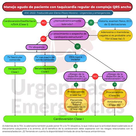 Diagrama de flujo de las opciones de tratamiento para extrasístoles ventriculares