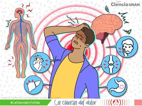 Iconos de alerta visuales que representan fiebre, dolor intenso, enrojecimiento, secreción y apertura de la herida como señales de alarma