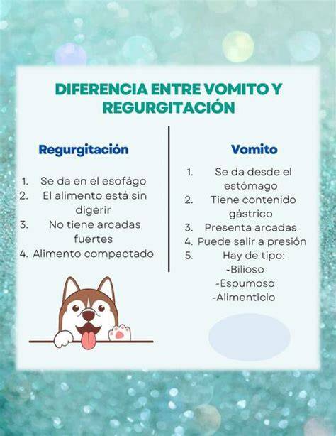 Esquema de las diferencias entre regurgitación y vómito en un recién nacido