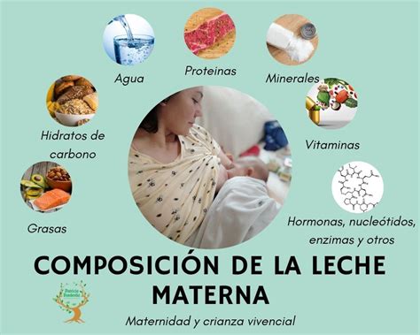 Diagrama comparativo de la composición de la leche materna y la leche artificial.
