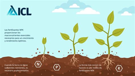 Esquema general que diferencia las funciones de un fertilizante (nutrición/crecimiento) frente a un fitosanitario (protección/defensa).