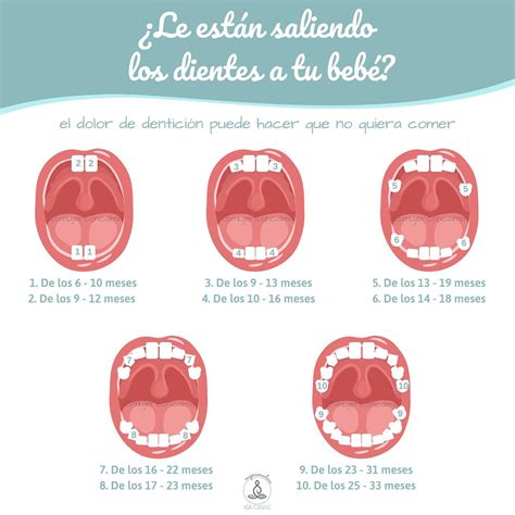 Infografía: Razones por las que los bebés tiran objetos