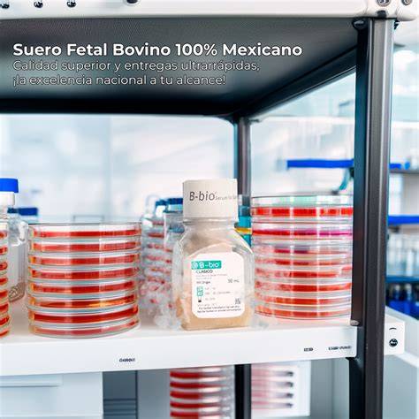 Proceso de recolección y filtración del suero fetal bovino en laboratorio