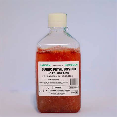 Células cultivadas en laboratorio con suero fetal bovino