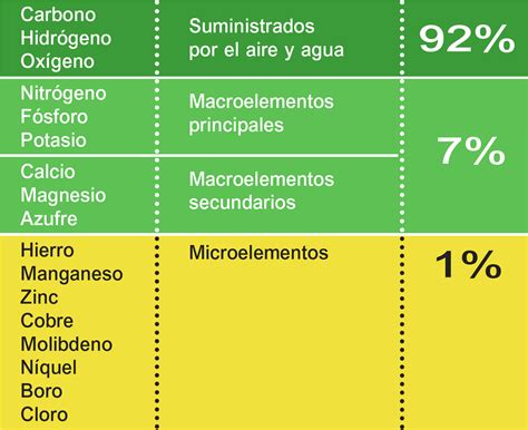 Tabla resumen de las funciones de los nutrientes esenciales en las plantas (N, P, K, Ca, Mg, S, y micronutrientes).