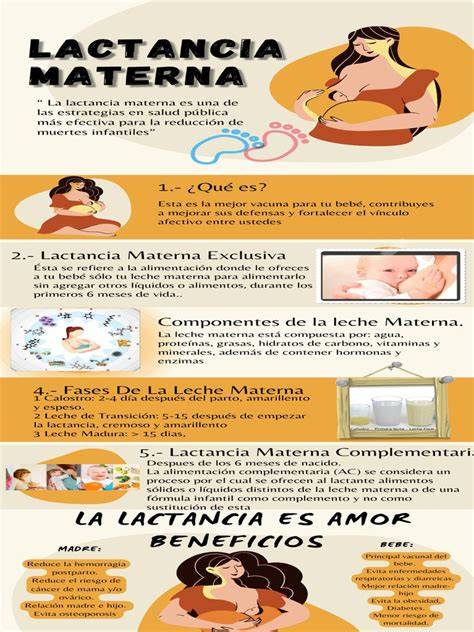 Infografía: Compatibilidad de lactancia materna y vínculo paternal
