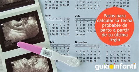 Gráfico ilustrativo del cálculo de la fecha probable de parto