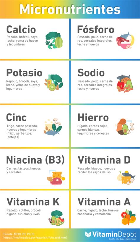 Infografía mostrando los principales micronutrientes esenciales para el desarrollo infantil y sus fuentes alimentarias.