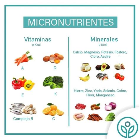 Tabla comparativa de las necesidades energéticas y de micronutrientes para bebés de 6 a 36 meses y cómo la papilla contribuye a cubrirlas.